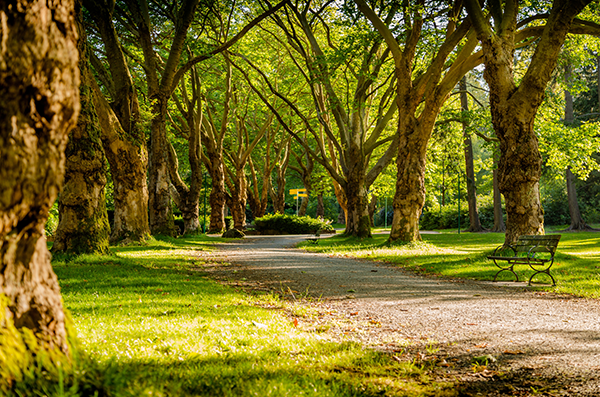Anonyme Bestattung - Böse Natursteine AG