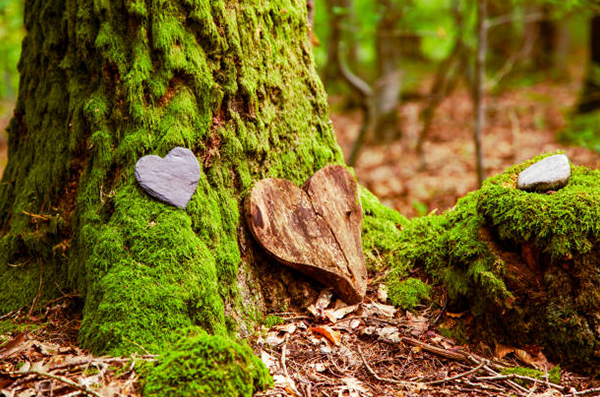 Baumbestattung - Böse Natursteine AG