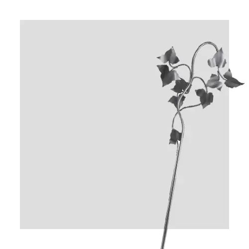 Efeu Symbol von Böse Natursteine AG
