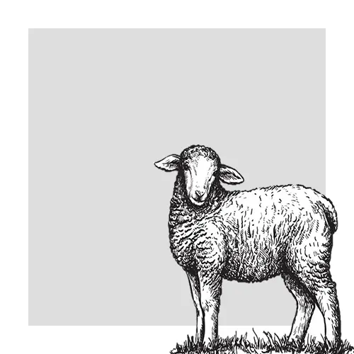 Lamm Symbol von Böse Natursteine AG