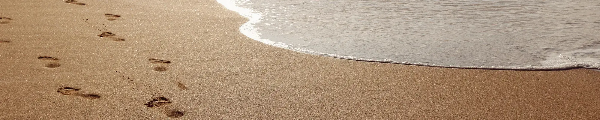 Lebenslauf - Spuren - Bleibendes