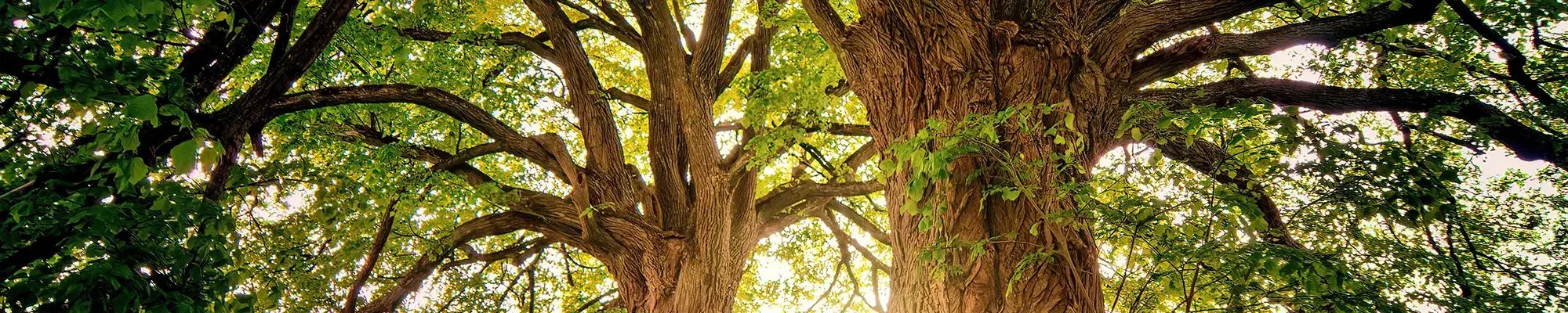 Durchbruch - Lichtblick - Hoffnung