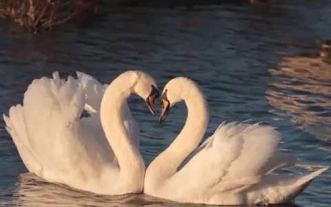 Zusammengehörig - getrennt und doch verbunden bei Grabsteinen