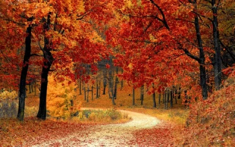 Hinführung - Weg - Heimkehr - Ankommen bei Grabsteinen