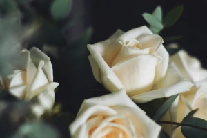 Kundenmeinung - Privatkunden | Familie Balling - Holzapfel