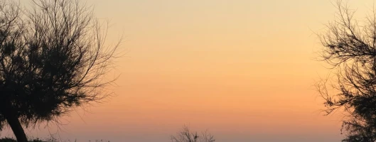 Kundenmeinung Privatkunde | Qing Iao Ta - Grabstein Bewertung