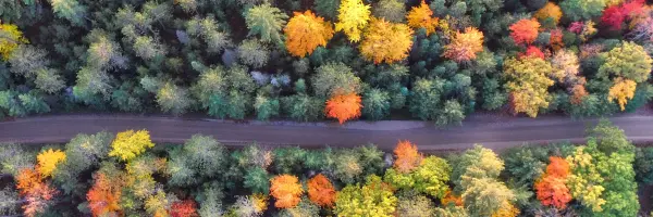 Landschaft
