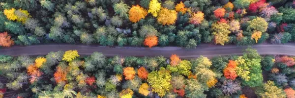 Landschaft